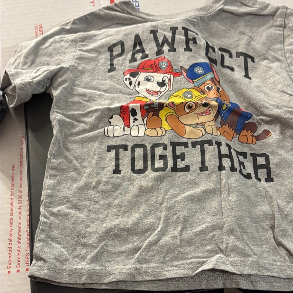Paw Patrol Gray Kids' Tee 5